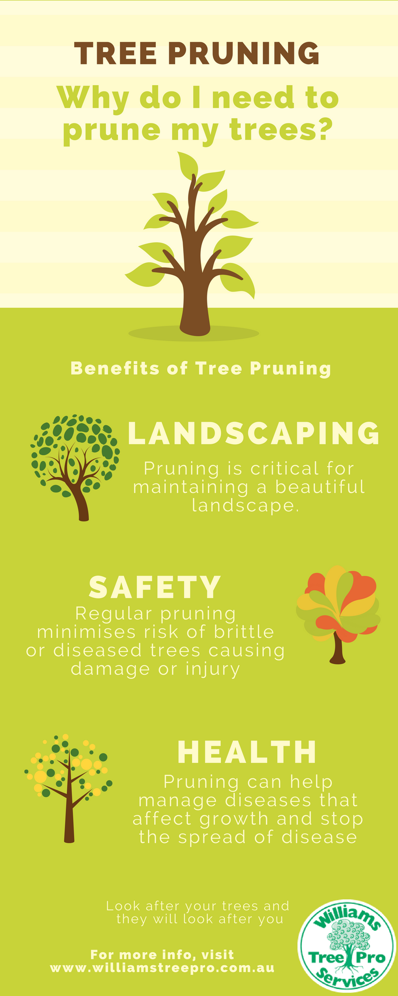 tree pruning infographic - williams tree pro services - benefits of tree pruning